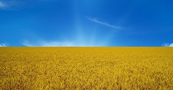 C Днём Независимости Украины!