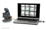 Микроскоп Celestron цифровой MicroSpin 2МП (100х-600х)