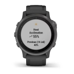 Смарт-часы Garmin Fenix 6s Sapphire серые DLC с черным ремешком