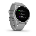 Смарт-часы Garmin Vivoactive 4S серые с серебристым безелем
