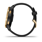 Смарт-часы Garmin Venu черные с золотистым безелем