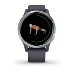 Смарт-часы Garmin Venu синий гранит с серебристым безелем