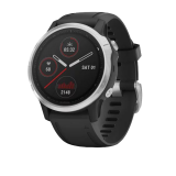 Смарт-часы Garmin Fenix 6s серебристые с черным ремешком