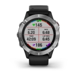 Смарт-часы Garmin Fenix 6 серебристые с черным ремешком