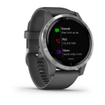 Смарт-часы Garmin Vivoactive 4 серые с серебристым безелем