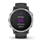 Смарт-часы Garmin Fenix 6s серебристые с черным ремешком