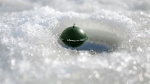 Смарт эхолот Deeper CHIRP+