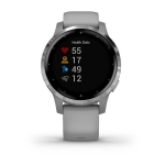 Смарт-часы Garmin Vivoactive 4S серые с серебристым безелем