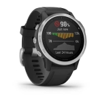 Смарт-часы Garmin Fenix 6s серебристые с черным ремешком