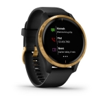 Смарт-часы Garmin Venu черные с золотистым безелем