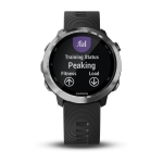 Спортивные часы Garmin Forerunner 645 Black