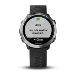 Спортивные часы Garmin Forerunner 645 Black