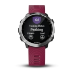 Спортивные часы Garmin Forerunner 645 Music With Cerise Colored Band (010-01863-31)