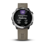 Спортивные часы Garmin Forerunner 645 Sandstone