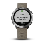 Спортивные часы Garmin Forerunner 645 Sandstone