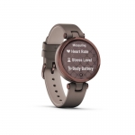 Спортивные часы Garmin Lily Classic Dark Bronze Paloma