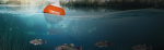 Эхолот Lowrance FishHunter 3D