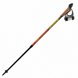 Треккинговые палки Vipole Instructor Vario Click-In