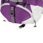 Рюкзак туристический Ferrino Transalp 55 Lady Violet