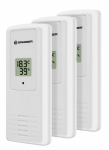 Термометр-гигрометр Bresser Temeo Hygro Quadro black