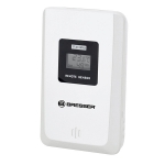 Метеостанция Bresser TemeoTrend WFS Silver