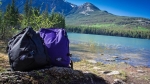 Сумка-рюкзак CabinZero Classic 28L Original Purple