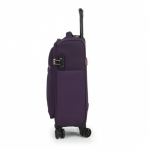 Чемодан Gabol Roma (S) Plum 925821