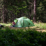 Палатка Vango Tay 300 Treetops