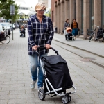 Сумка-тележка ShoppingCruiser 3 Wheels 47 Black