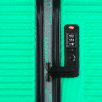 Чемодан CarryOn Connect (S) Green