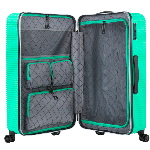 Чемодан CarryOn Connect (L) Green