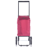 Сумка-тележка Epic City X Shopper Evolution 33 Red Plum