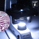 Микроскоп Optika B-159R-PL 40x-1000x Bino Rechargeable