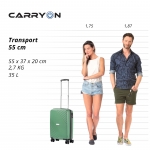 Чемодан CarryOn Transport (S) Olive