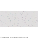 Набор препаратов Optima Общая биология E (100 шт.) (S-003.4)
