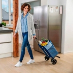 Сумка-тележка Gimi Rolling Thermo 50 Blue