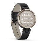 Спортивные часы Garmin Lily Classic Cream Gold Black