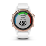 Спортивные часы Garmin Fenix 5S Plus Sapphire White Rose Gold